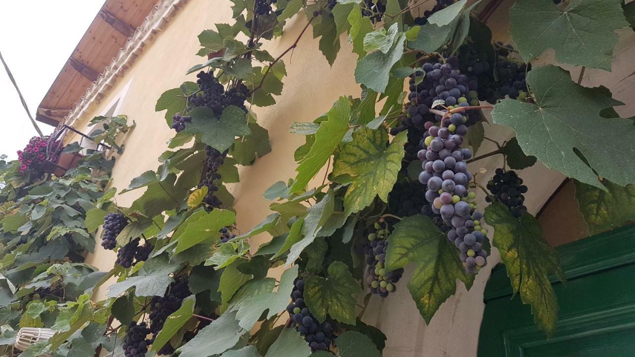 Scaccia Pensieri Villa Cerchio ภายนอก รูปภาพ